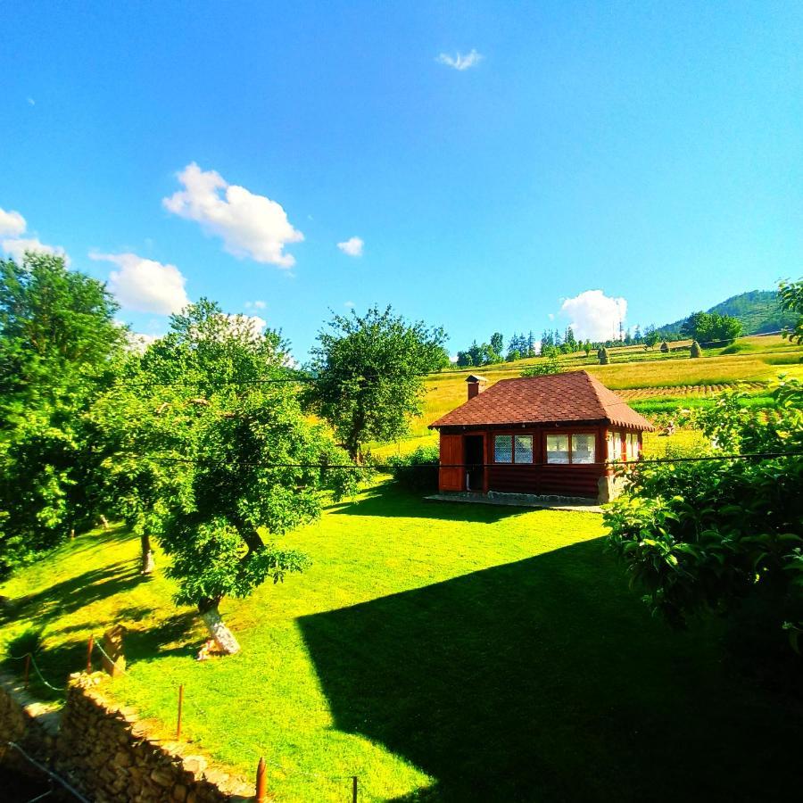 Садиба" У Василя" Volovets Exterior foto